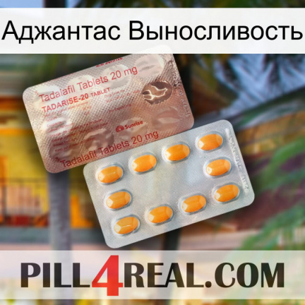 Аджантас Выносливость new13